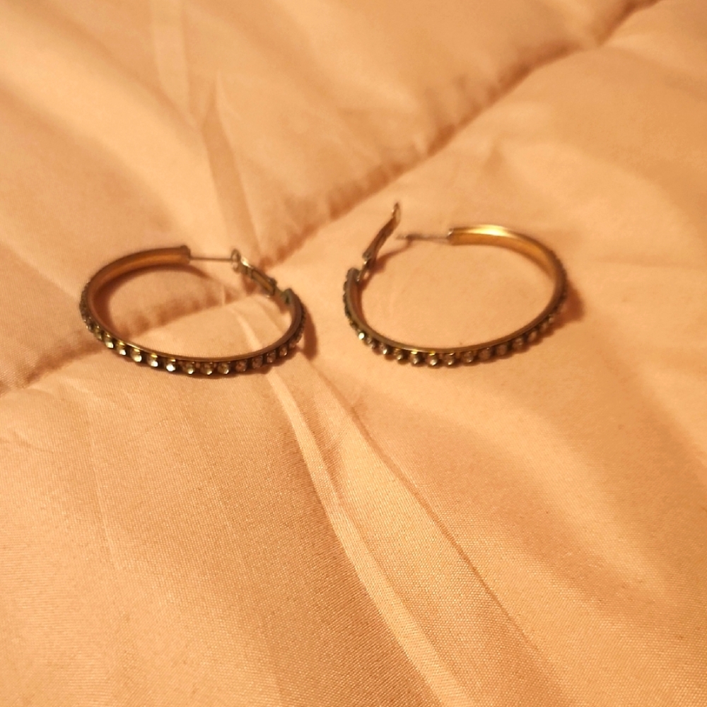 Elegant Gold Hoop Earrings
